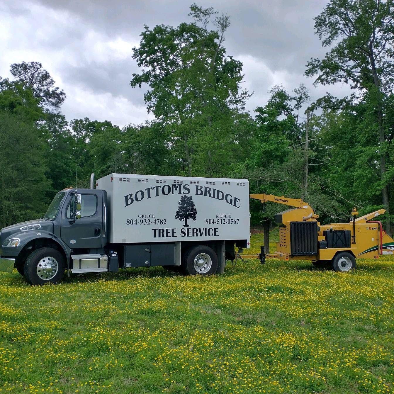 Tree Service Charles City, VA