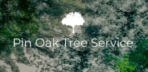 Tree Service Fairfax County VA